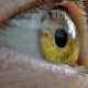 detail photo of an eye