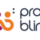 proBlind logo