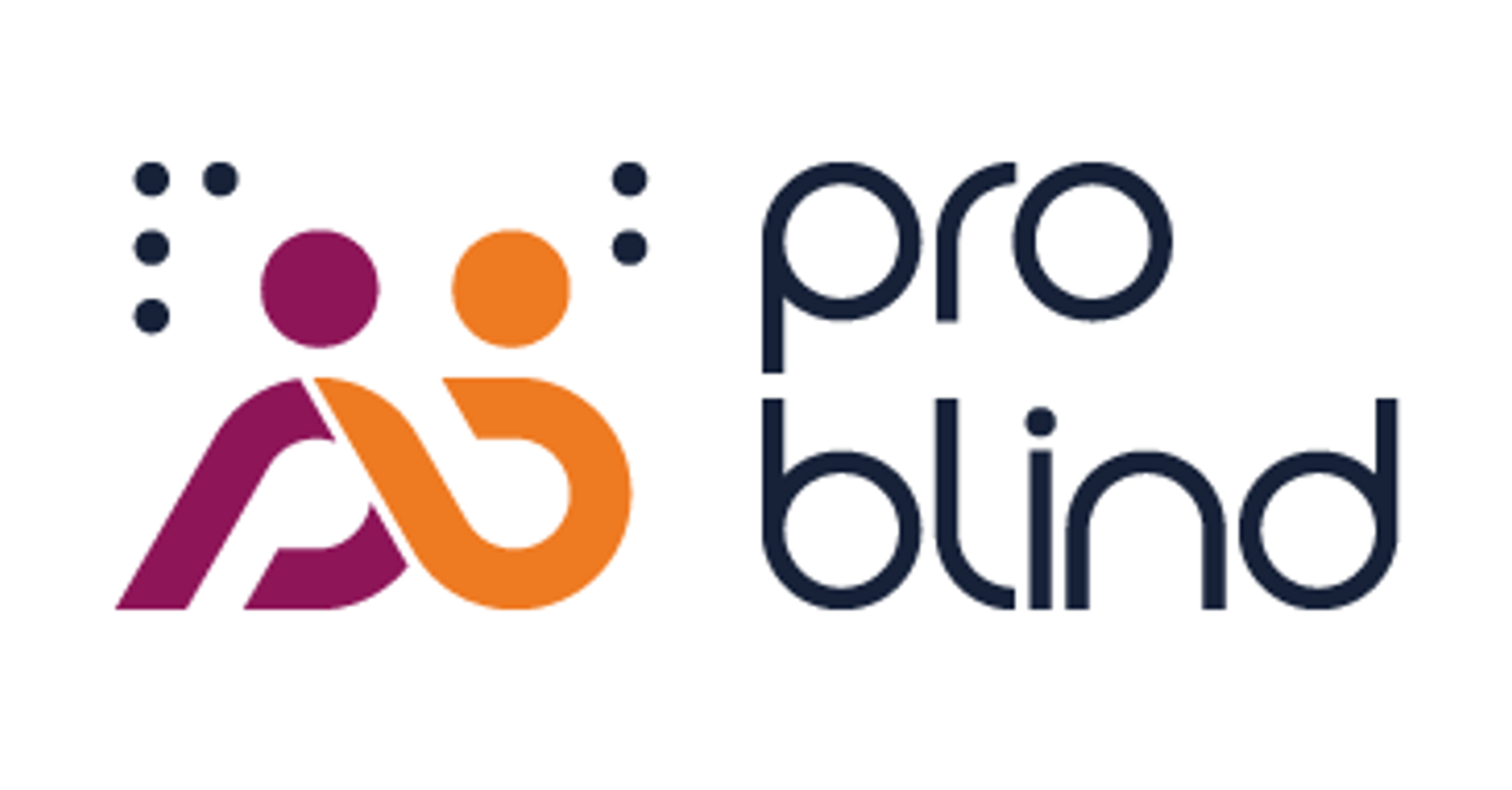 proBlind logo